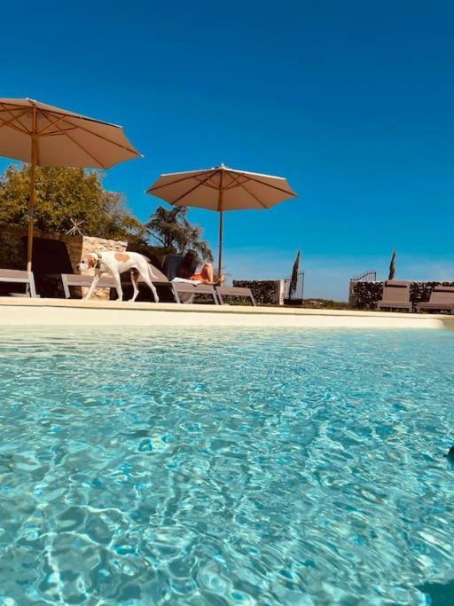 Dome Insolite Cedre Jacuzzi Et Petits Dejeuners Inclus Lagraulet-du-Gers Екстериор снимка