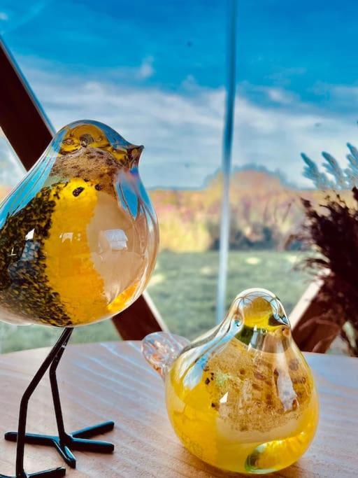 Dome Insolite Cedre Jacuzzi Et Petits Dejeuners Inclus Lagraulet-du-Gers Екстериор снимка