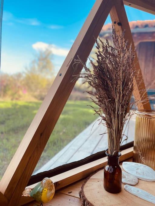 Dome Insolite Cedre Jacuzzi Et Petits Dejeuners Inclus Lagraulet-du-Gers Екстериор снимка