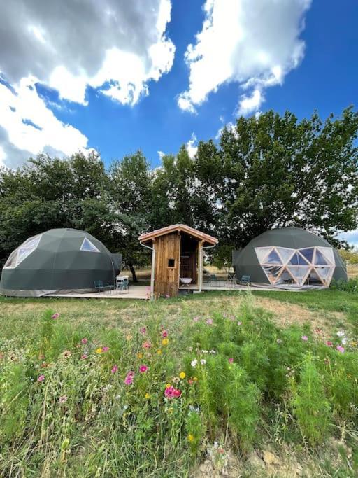 Dome Insolite Cedre Jacuzzi Et Petits Dejeuners Inclus Lagraulet-du-Gers Екстериор снимка